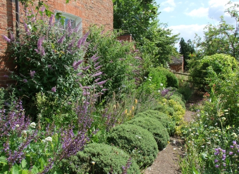 Wildlife-friendly garden by Paul Lane