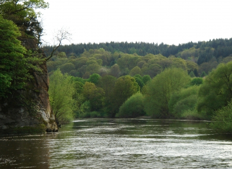 River Severn CREDIT Steve Bloomfield