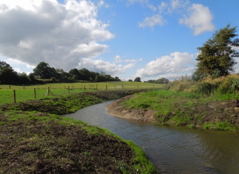 River Restoration