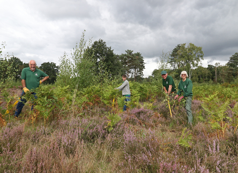 A group of volunteers tree popping at The Devil's Spittleful by Wendy Carter