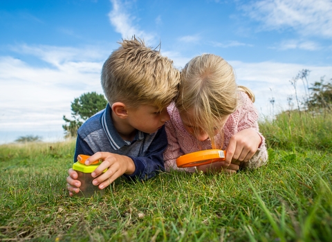 Two children looking for bugs in a meadow by Matthew Roberts