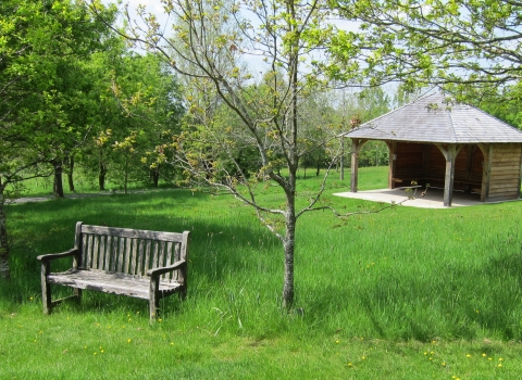 Park bench and shelter in grassland with trees