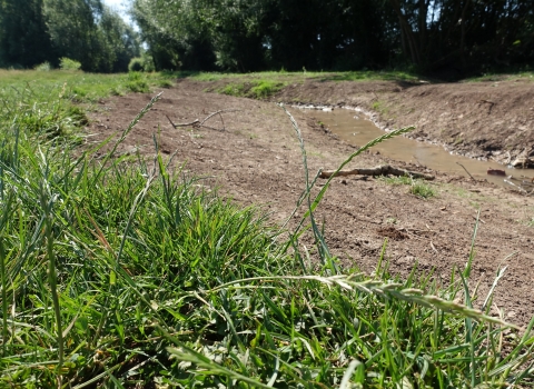 Duck Brook during restoration by Jasmine Walters