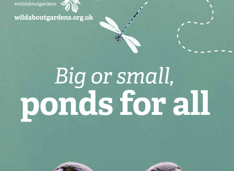 Front cover of 'Big or small, ponds for all' booklet