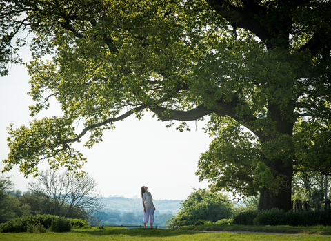 Woman standing underneath and looking up into the canopy of a tree with a wide landscape behind them both by Matthew Roberts