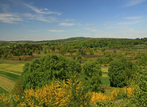 View over Dropping Well Farm, The Devil's Spittleful and Rifle Range nature reserves by Wendy Carter