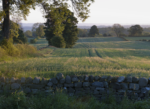 Farmed landscape with trees along hedgerows and boundaries by Paul Harris/2020VISION