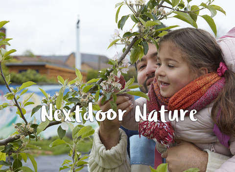 Adult and child laughing as they reach to smell blossom on a tree by The Wildlife Trusts