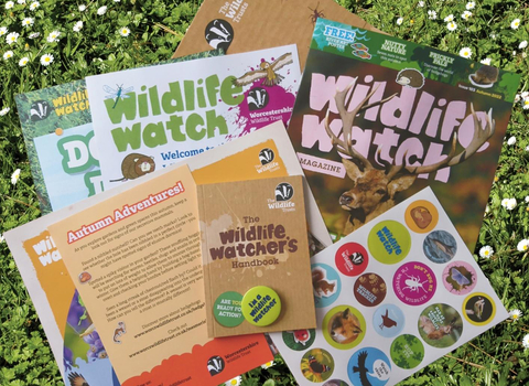 Watch membership mag - handbook, magazine, stickers, badge, poster