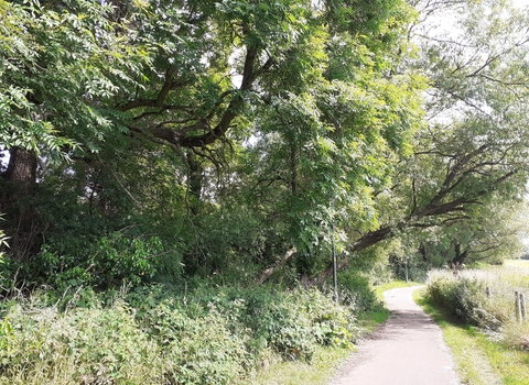 Looking north. Battlefield brook is to the left but protected from view with woodland. There is a path to the right.