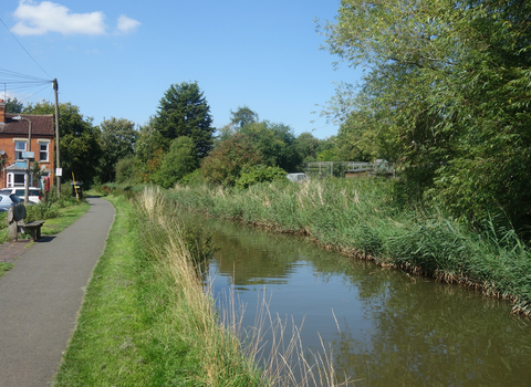 Canal on the right hand side with a path running away from the viewer on the left, flanked by parked cars and terraced houses by Liz Yorke