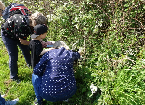 A group of people, including a child, looking into the base of a hedgerow on a sunny day by Liz Yorke