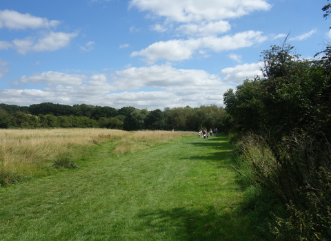 Newtown Green - large field surrounded by hedge and trees, part of the field is mown for walking and part is left unmown by Liz Yorke