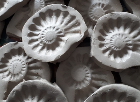 Fossil making kit - moulds for making ammonites