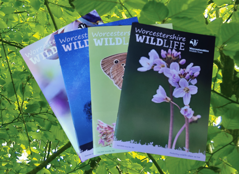 Fan of Worcestershire Wildlife Trust magazines