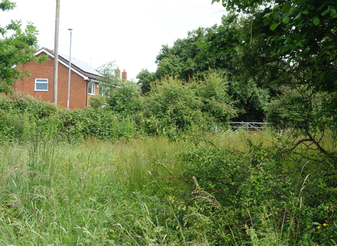 The view of webheath wild space, with houses in the background