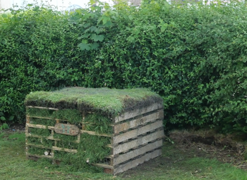 Bug hotel by a hedge