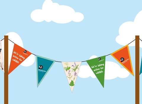 Illustrated bunting with illustrations of wildlife and 'we're taking action for wildlife' written on them