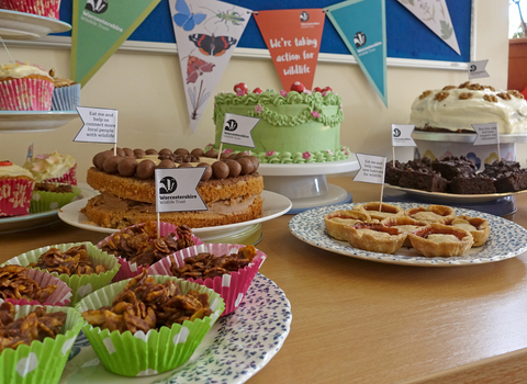 A selection of cakes, tarts, cupcakes etc on a table