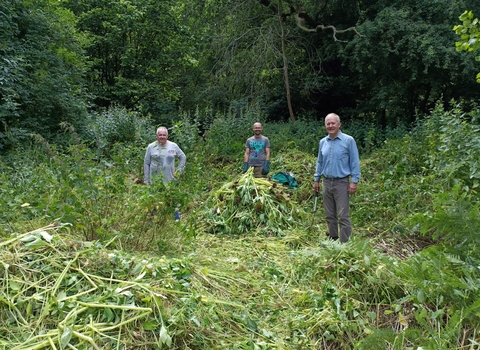 3 people standing amongst piles of pulled-up Himalayan balsam - they're all looking at the camera and smiling