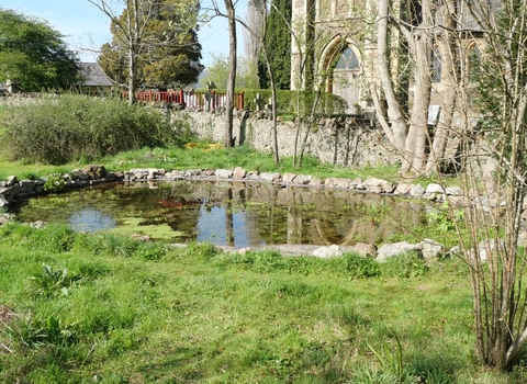 A pond in the middle of the photo with grass in the foreground and a church in the background