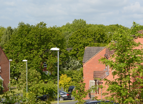 Several red brick houses in the foreground with a woodland in the background