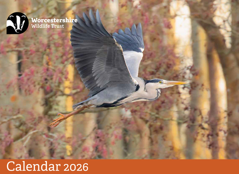 front cover of 2026 calendar featuring the grey heron in the main image at the top of the page plus the Trust logo and words 'calendar 2026'
