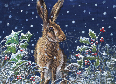 An illustration of a hare amongst snow covered holly with red berries and other vegetation. It's evening and there is snow falling.