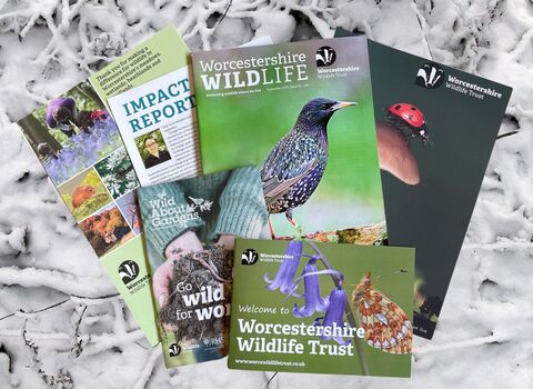 Magazine membership pack - magazine, welcome booklet, impact report, folder, booklet