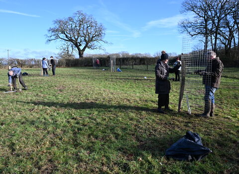 Several people in a field as part of a tree planting session on a sunny winters day. Two people near the camera on the right are putting a metal guard around their tree.