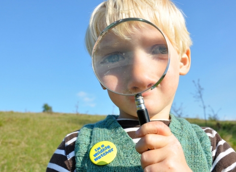 Boy looking through a magnifying glass by Emma Bradshaw